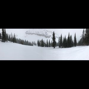 Meet your Posher, Nate